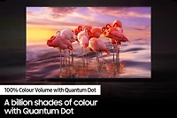 65" QLED 4K Smart TV Q60B