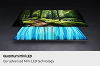 65" Neo QLED QN1EF  4K  Vision AI Smart TV