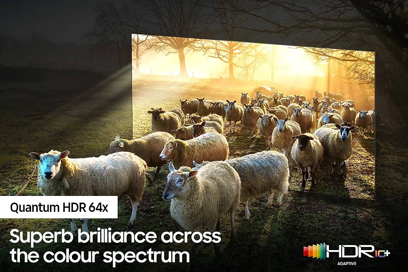 65" Neo QLED 8K Smart TV QN900A