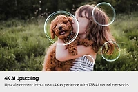 65 Inch OLED S85F 4K Vision AI Smart TV (2025) QN65S85FAFXZC | Samsung Canada