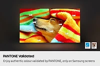 65 Inch OLED S85F 4K Vision AI Smart TV (2025) QN65S85FAFXZC | Samsung Canada