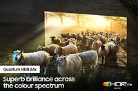75" Neo QLED 8K Smart TV QN900A