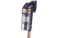 Jet 60 Pet with Jet Fit Brush Gold | Samsung Canada