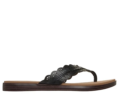 Summer Cove - Catching Sun Too!