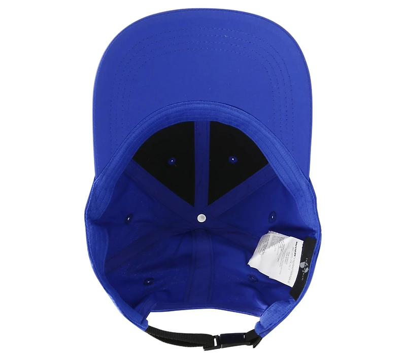Skech-Shine Foil Baseball Hat