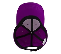 Skech-Shine Foil Baseball Hat