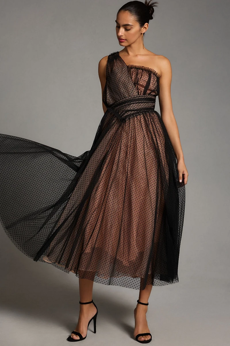 Tulle Dot Maxi Dress