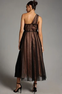 Tulle Dot Maxi Dress
