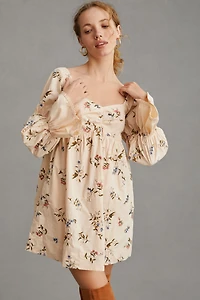 Long-Sleeve Embroidered Mini Dress