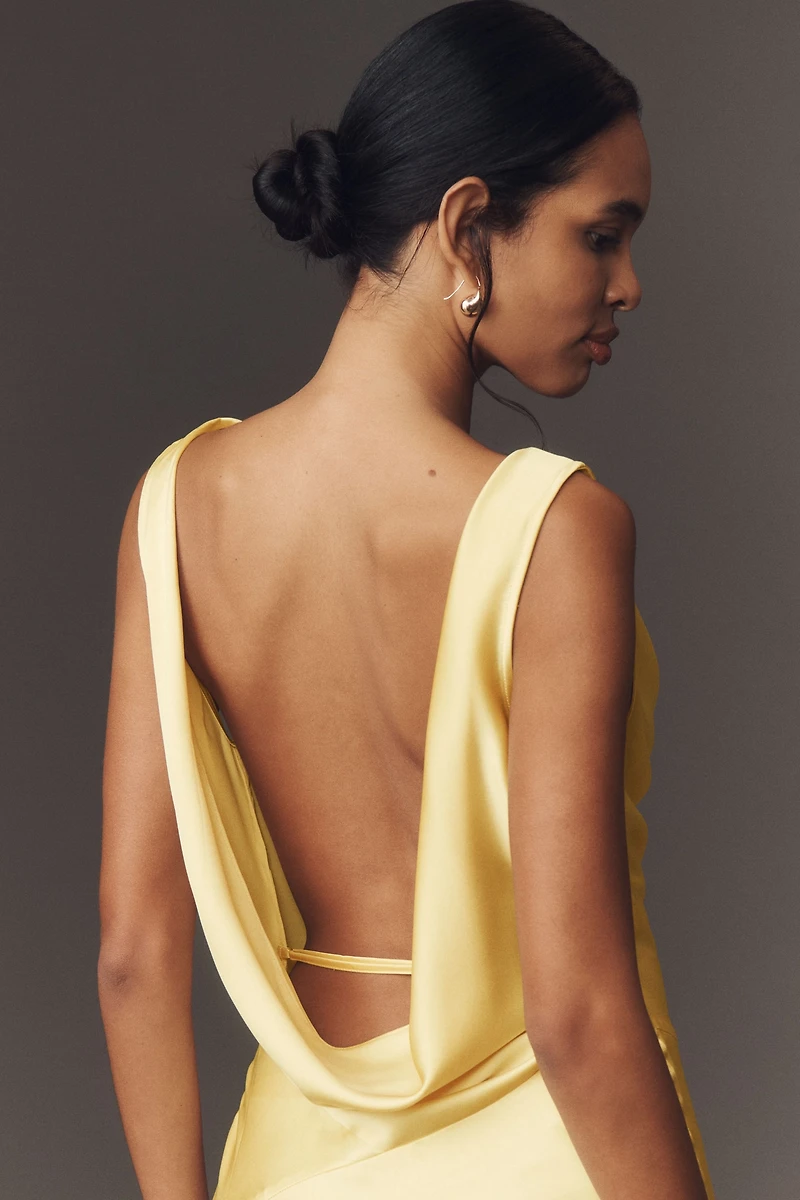 BHLDN Cowl-Neck Open-Back Floral Drop-Waist Midi Dress