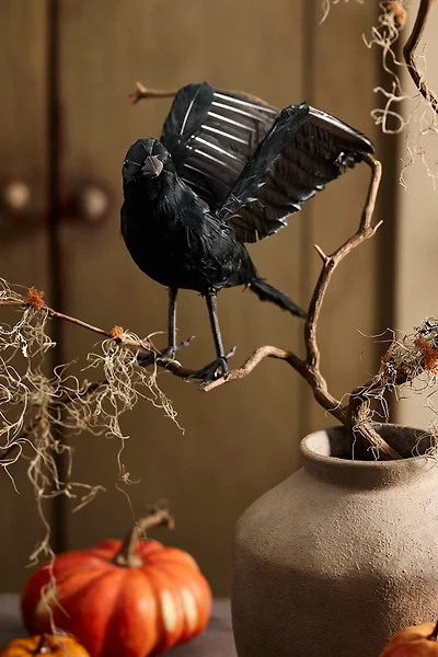 Feathered Crow Decorative Object