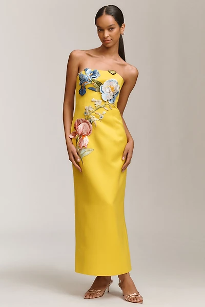 LEO LIN Rayna Appliqué Floral Strapless Maxi Dress