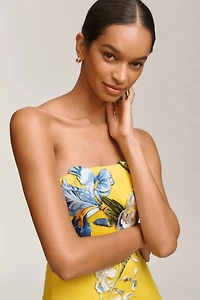 LEO LIN Rayna Appliqué Floral Strapless Maxi Dress