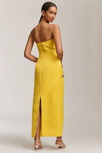 LEO LIN Rayna Appliqué Floral Strapless Maxi Dress