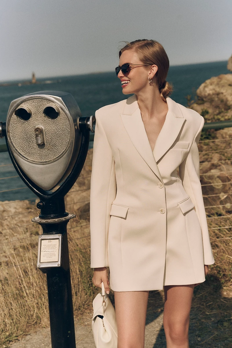 Rachel Gilbert Sergio Tailored Mini Dress