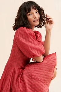 Rachel Parcell Organza Dot Dress