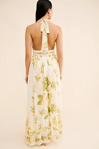 FARM Rio V-Neck Floral Chiffon Maxi Dress
