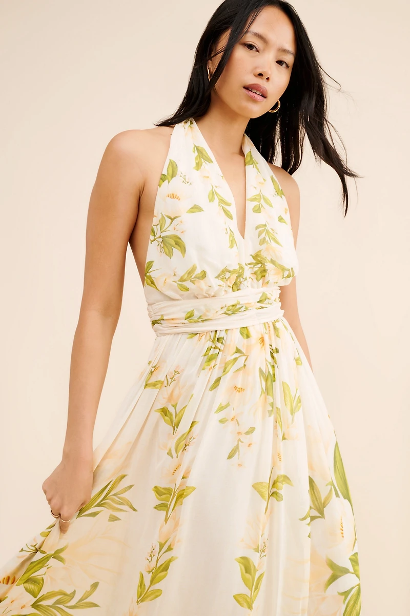 FARM Rio V-Neck Floral Chiffon Maxi Dress