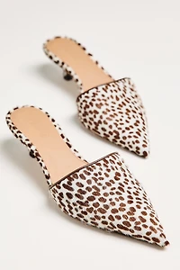 Flattered Noomi Mule Kitten Heels