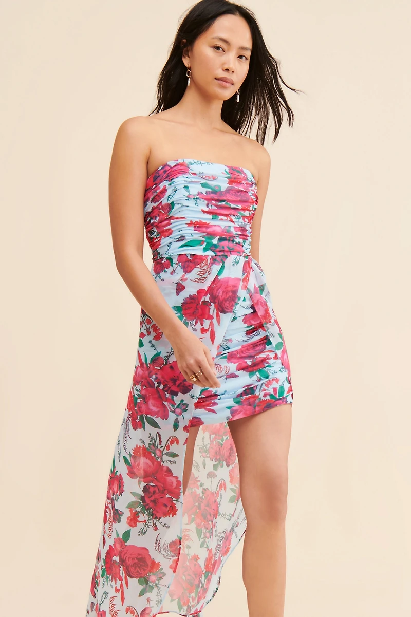 Hutch Icy Garden Floral Hi-Low Dress
