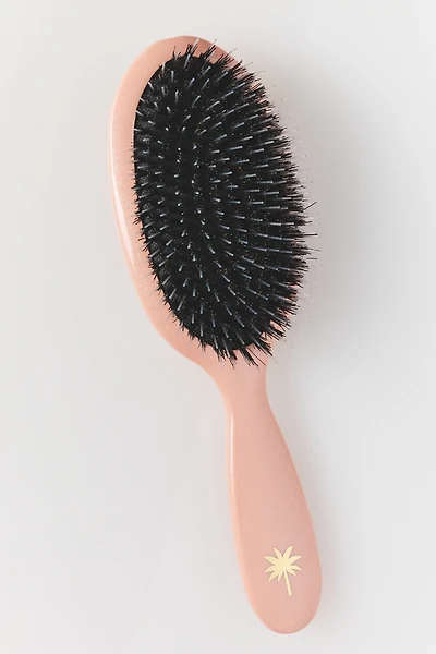 Fan Palm Medium Hair Brush