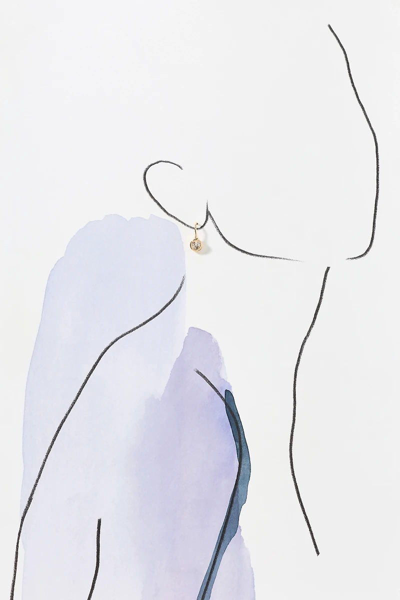 Dainty Crystal Fishhook Earrings