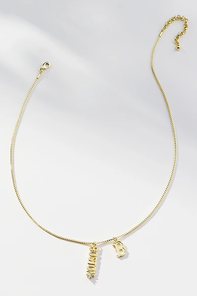 Luv Aj The MLB Layered Nameplate Necklace
