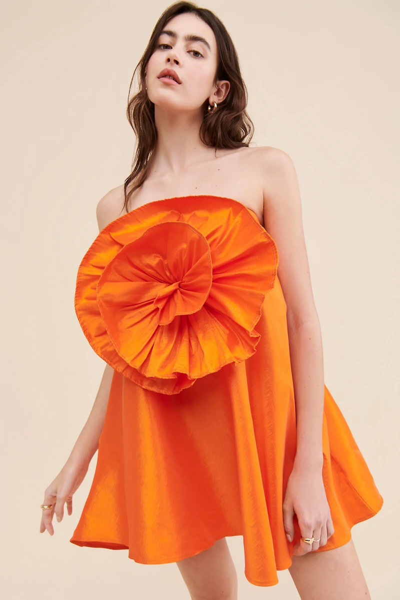 Boyko Gigi Strapless Mini Dress