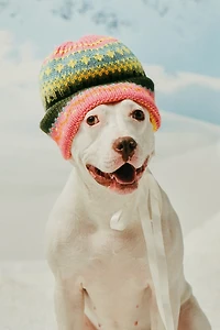 By Anthropologie Fairisle Beanie