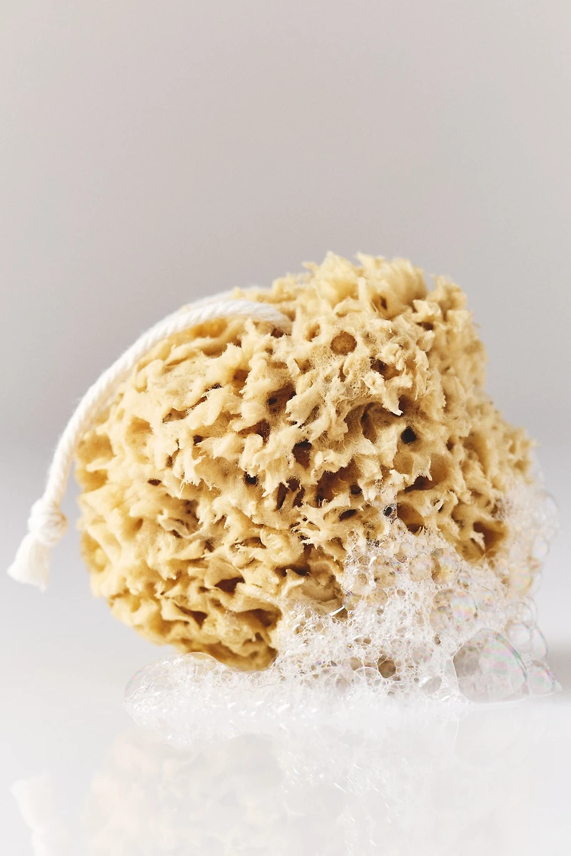 Bathing Culture Mineral Sea Sponge