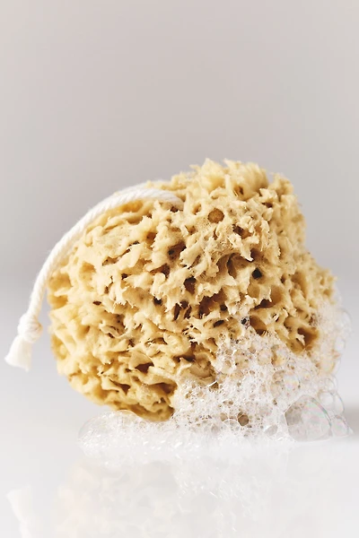 Bathing Culture Mineral Sea Sponge