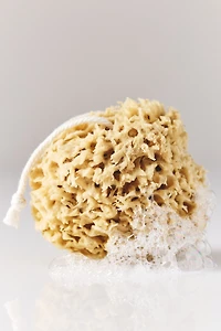 Bathing Culture Mineral Sea Sponge