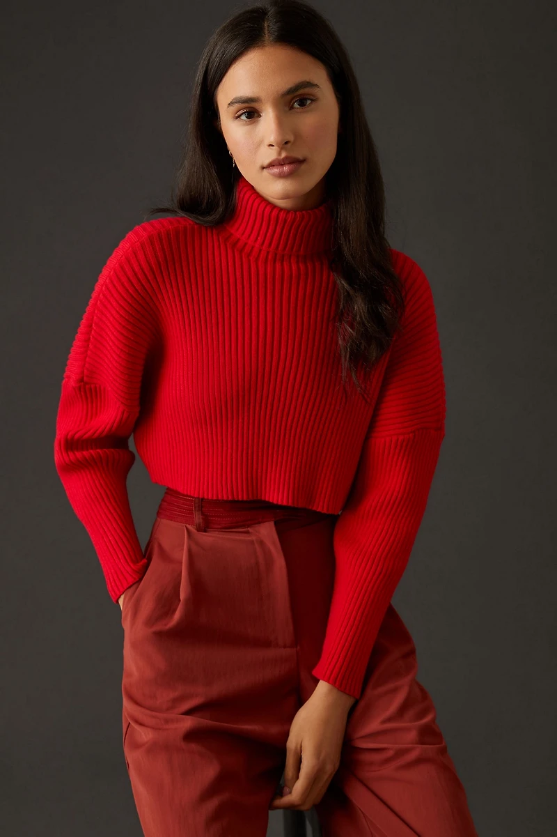 Bishop + Young Cropped Ribbed Turtleneck Sweater