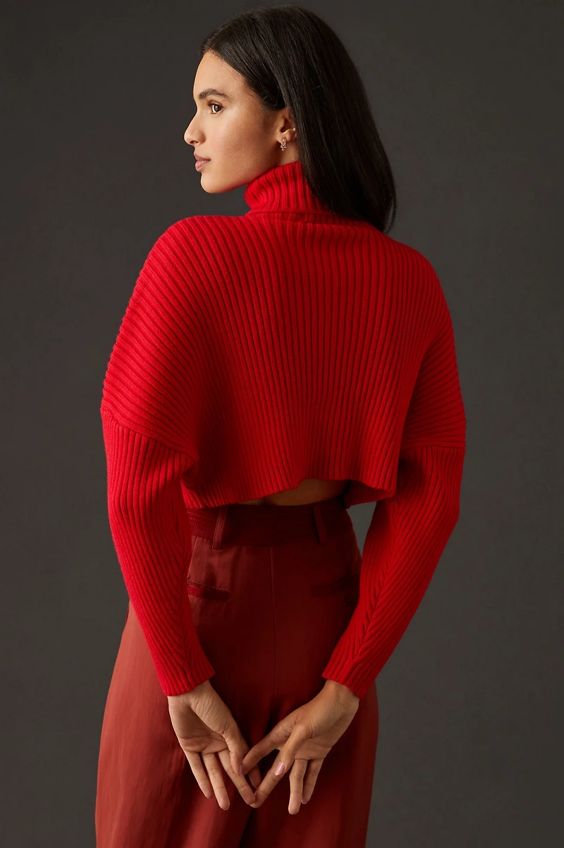 Bishop + Young Cropped Ribbed Turtleneck Sweater