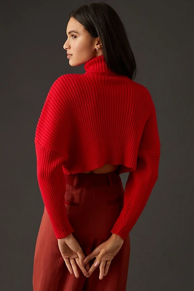 Bishop + Young Cropped Ribbed Turtleneck Sweater