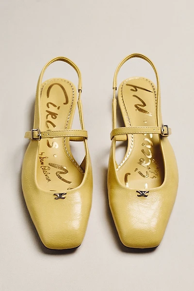 Circus NY by Sam Edelman Elara Slingback Flats