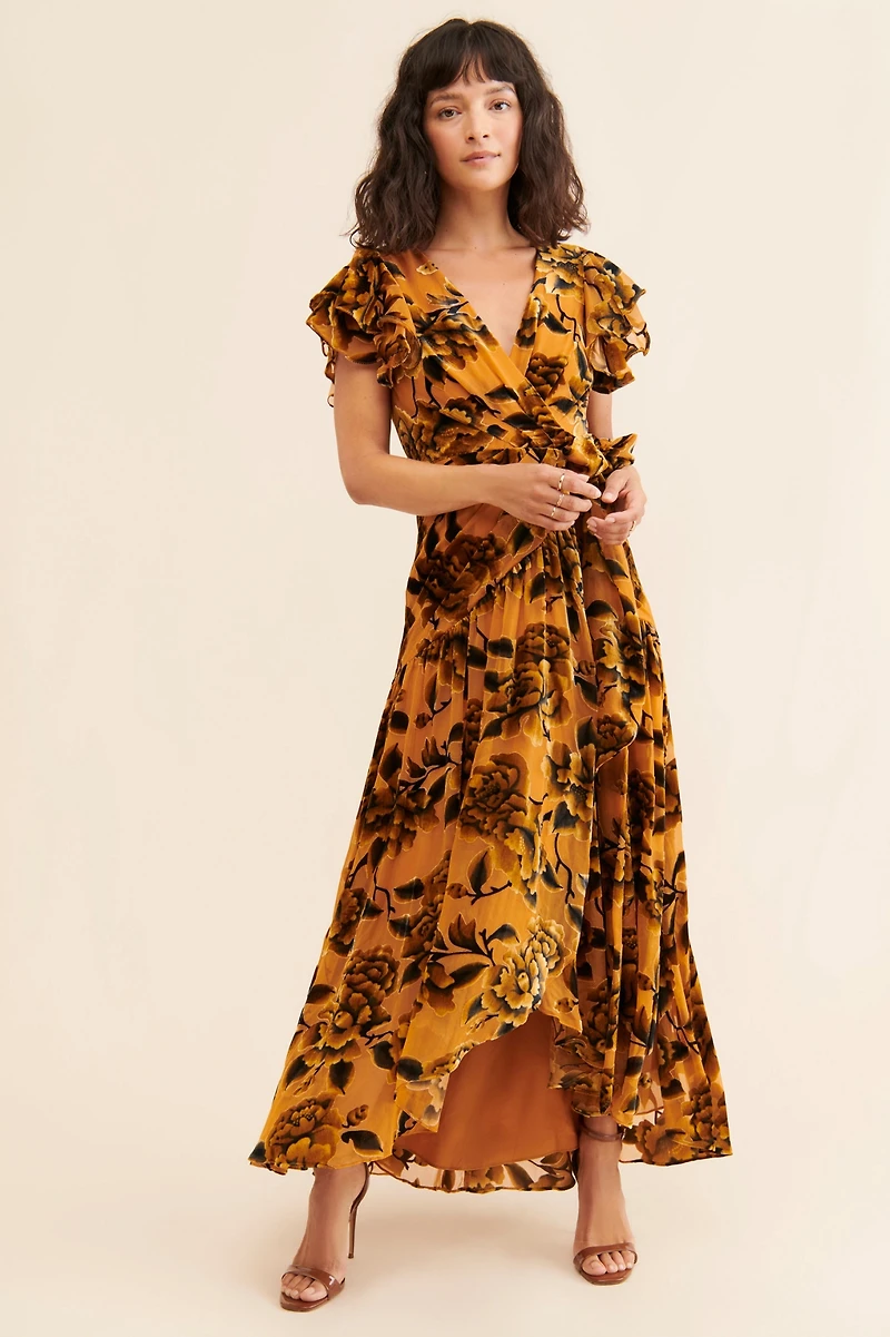 Hutch Zola Velvet Maxi Dress