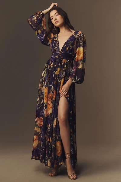 BHLDN Long Sleeve V-Neck Sheer Maxi Dress