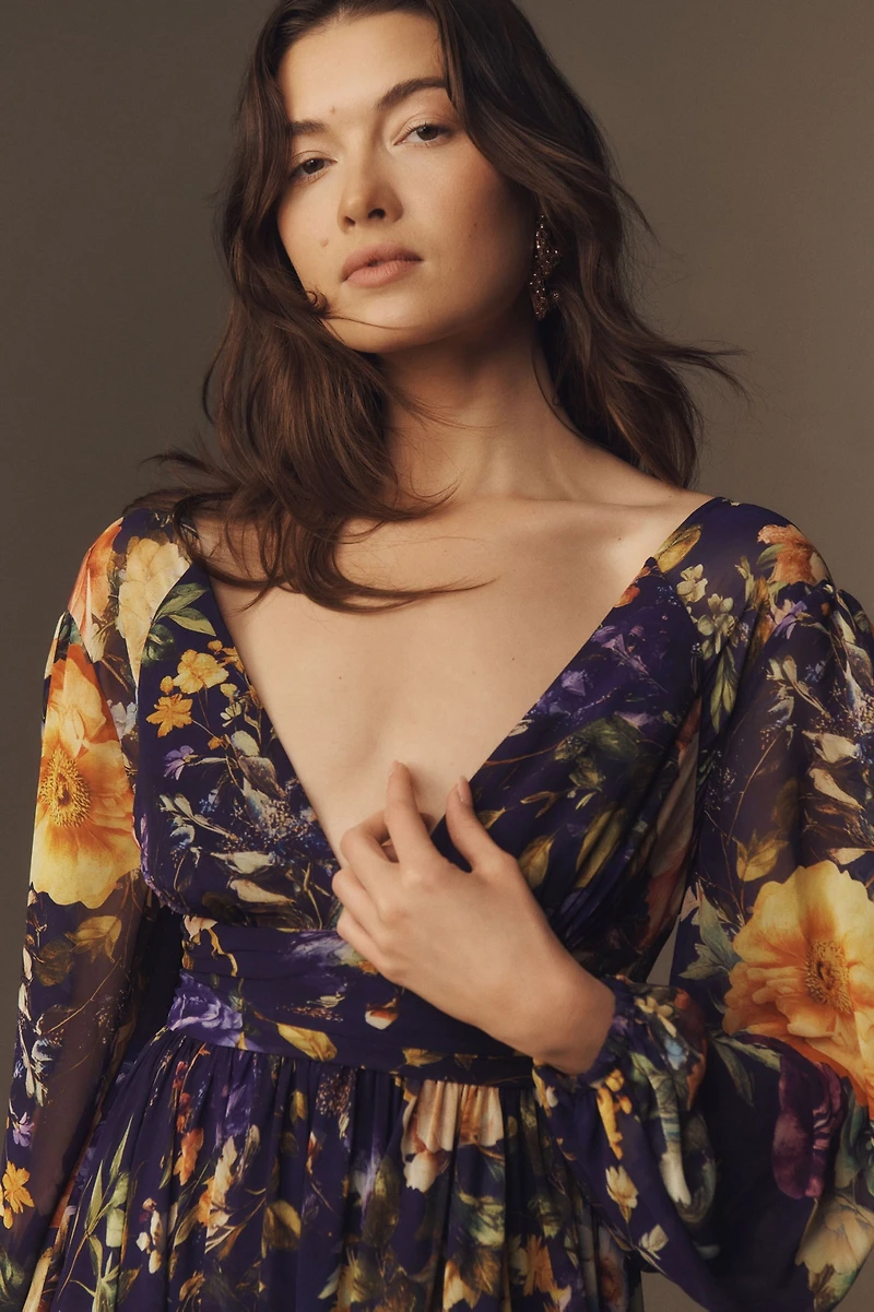 BHLDN Long Sleeve V-Neck Sheer Maxi Dress
