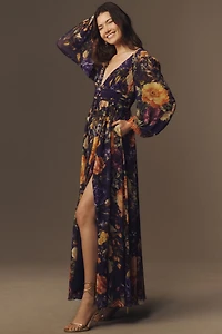 BHLDN Long Sleeve V-Neck Sheer Maxi Dress