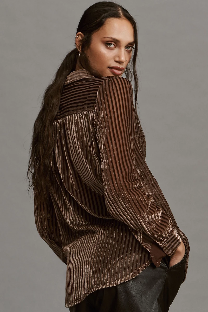Pilcro Velvet Sheer Burnout Blouse