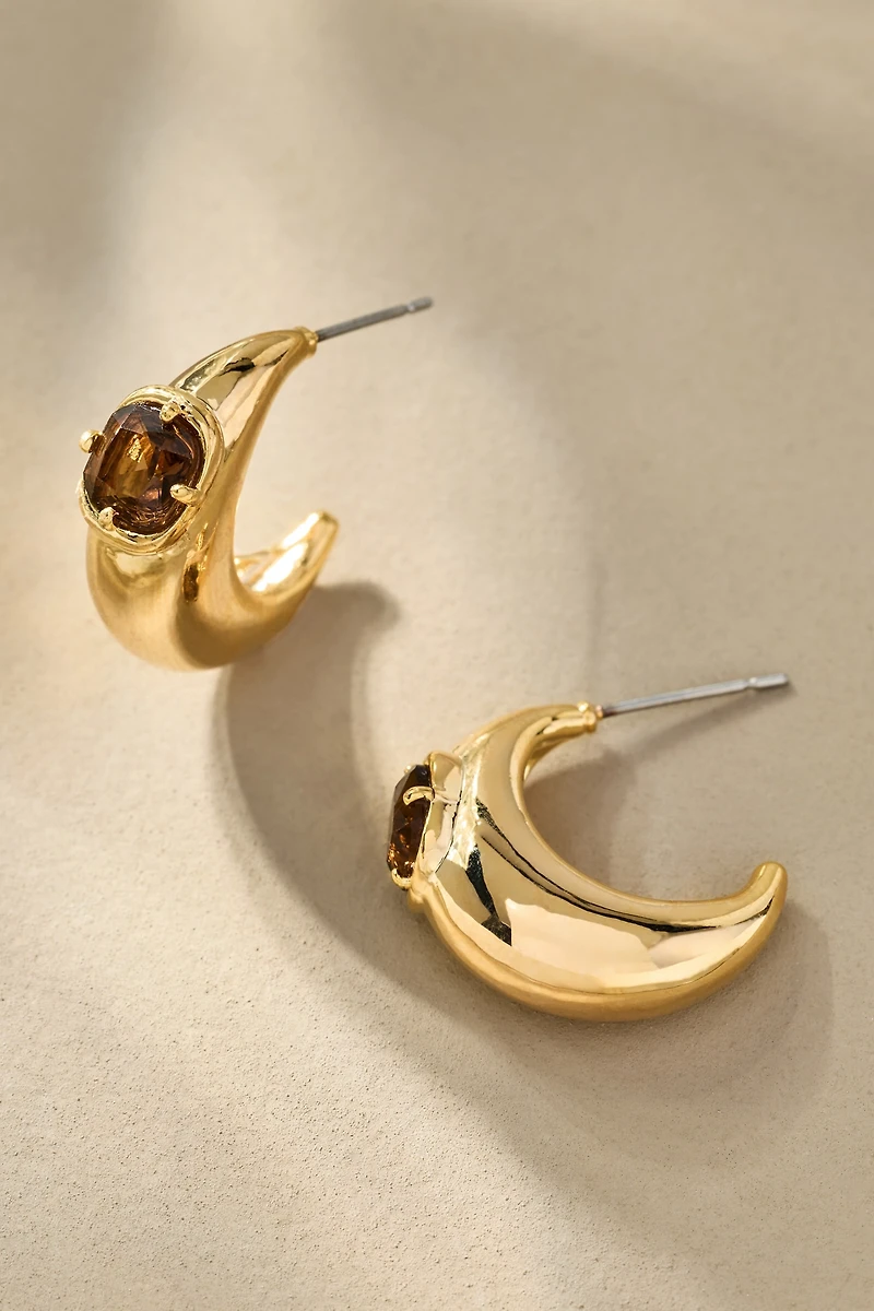 Crystal Stone Hoop Earrings