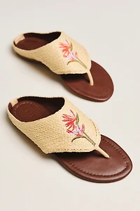 Farm Rio Raffia Icon Thongs