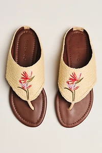 Farm Rio Raffia Icon Thongs
