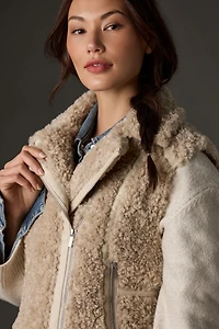Teddy Textured Vest