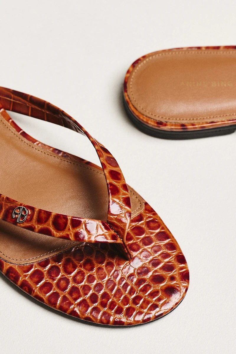 Anine Bing Noelle Thong Sandals