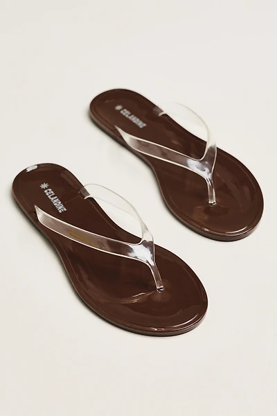 Celandine Jelly Flip Flops