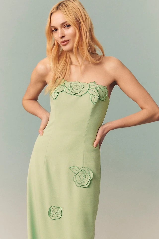 bhldn calla sleeveless tulle floral appliqué maxi dress BHLDN Calla Sleeveless Tulle Floral Appliqué Maxi Dress