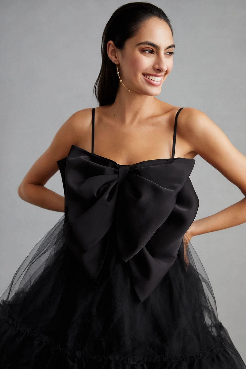 Hutch Take A Bow Tulle Mini Dress