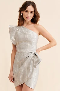 Saylor Ann Mini Dress